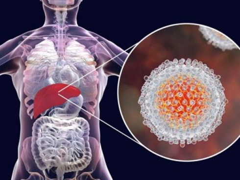 Bộ phận này càng to, báo hiệu lá gan, tuyến tụy đang dần suy kiệt-4