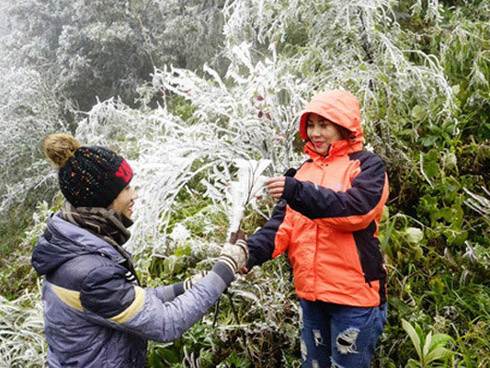 Dự báo thời tiết 5.12: Miền Bắc tiếp tục rét nhưng nắng hanh khô khó chịu-2