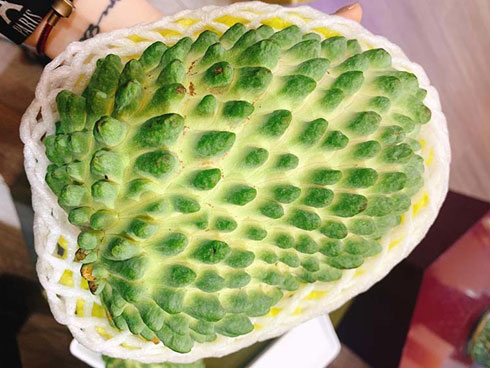 Điều đặc biệt của na ruột đỏ giá đắt gấp 3 lần chỉ ngửi không ăn” nhiều người săn lùng-5