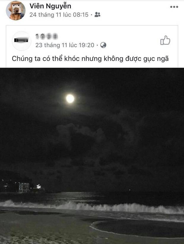 Trước giờ bơi SEA Games, tiểu tiên cá Ánh Viên vẫn ngập trong nỗi buồn và sự cô đơn-3