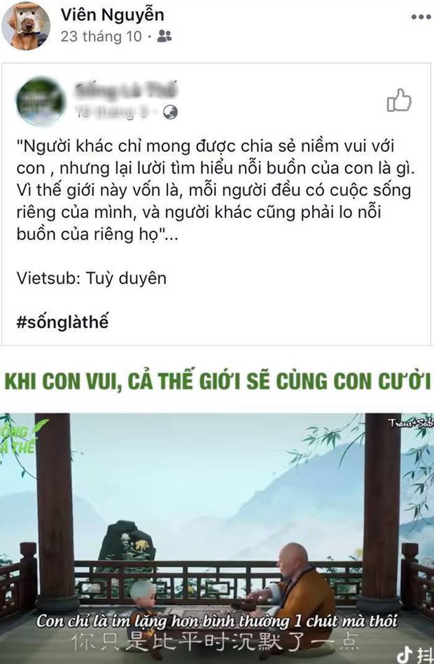 Trước giờ bơi SEA Games, tiểu tiên cá Ánh Viên vẫn ngập trong nỗi buồn và sự cô đơn-12