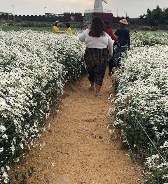 Cô gái ý thức kém nằm đè cả người lên cúc họa mi để chụp ảnh, cộng đồng mạng vừa ném đá xong lại phải cười thứ dính đằng sau khi nàng đứng lên-3