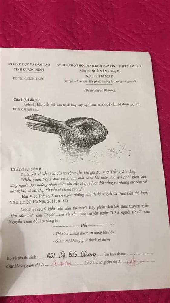Đề thi học sinh giỏi Văn chỉ có hình nửa thỏ nửa vịt yêu cầu học sinh phân tích, trình bày suy nghĩ để được 8 điểm!-1