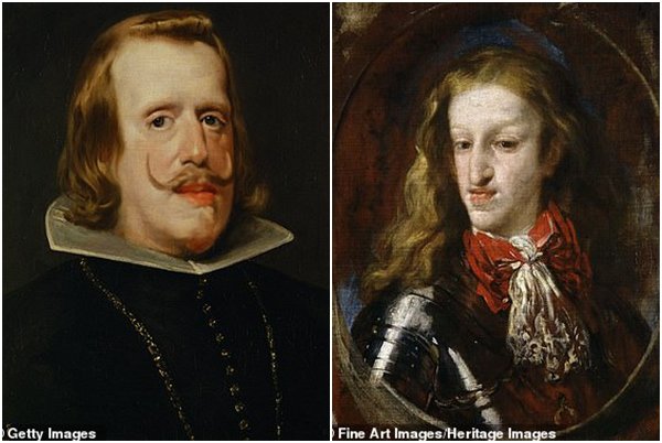 Chiếc hàm bạnh hé lộ sự thật về gia tộc loạn luân hàng trăm năm, giàu nhưng không còn ai-4