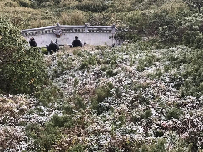 Băng tuyết đầu mùa phủ trắng đỉnh Fansipan, dự báo một mùa tuyết rơi đẹp đến ngỡ ngàng-3