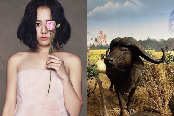 Đúng 2 tuần cuối cùng của năm 2019, những con giáp sau dính thị phi, mất tiền mất tình vì lời nói-3