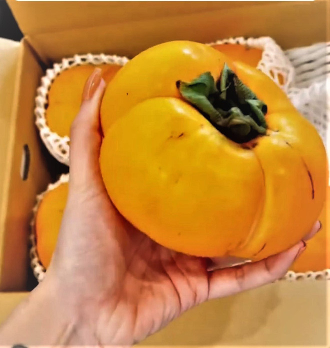 Hồng tứ quý Nhật gần 1 triệu/quả bay về Việt Nam khiến giới nhà giàu phát cuồng-1