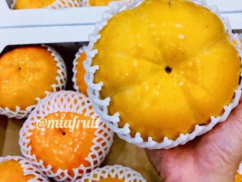 Tận mục quả xoài nhìn xa ngỡ trái ớt, hạt nhỏ như que tăm gây sốt-12