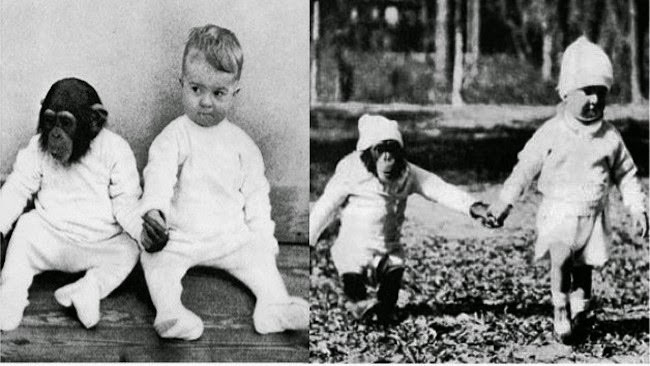 Cho con trai và tinh tinh ăn ngủ cùng nhau để phục vụ thí nghiệm, nhà khoa học vội chấm dứt mọi thứ sau 9 tháng khi phát hiện ra sự thật kinh hoàng-2