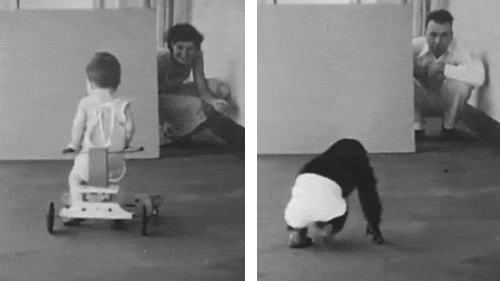 Cho con trai và tinh tinh ăn ngủ cùng nhau để phục vụ thí nghiệm, nhà khoa học vội chấm dứt mọi thứ sau 9 tháng khi phát hiện ra sự thật kinh hoàng-6