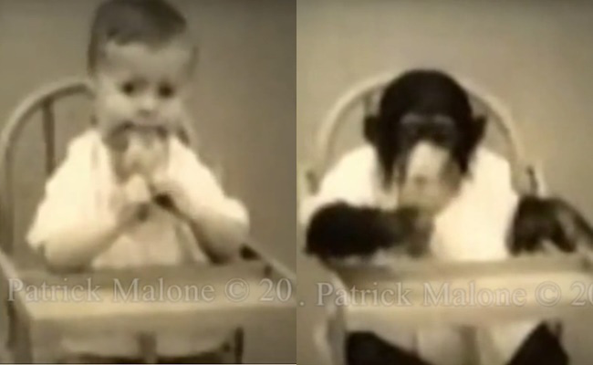 Cho con trai và tinh tinh ăn ngủ cùng nhau để phục vụ thí nghiệm, nhà khoa học vội chấm dứt mọi thứ sau 9 tháng khi phát hiện ra sự thật kinh hoàng-7