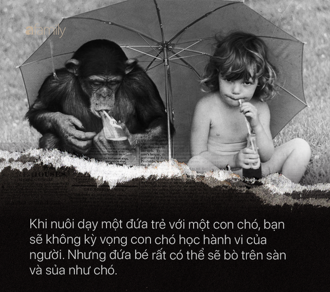 Cho con trai và tinh tinh ăn ngủ cùng nhau để phục vụ thí nghiệm, nhà khoa học vội chấm dứt mọi thứ sau 9 tháng khi phát hiện ra sự thật kinh hoàng-8