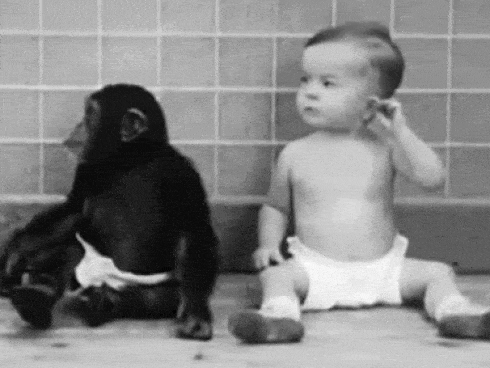 Cho con trai và tinh tinh ăn ngủ cùng nhau để phục vụ thí nghiệm, nhà khoa học vội chấm dứt mọi thứ sau 9 tháng khi phát hiện ra sự thật kinh hoàng