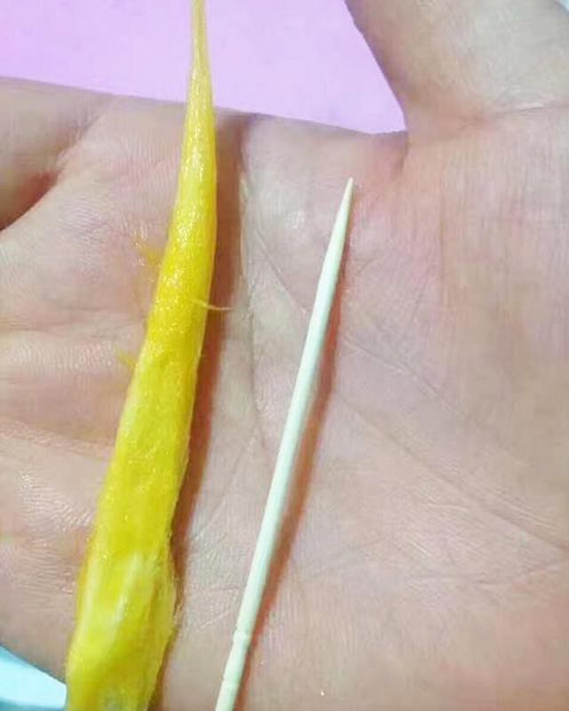 Tận mục quả xoài nhìn xa ngỡ trái ớt, hạt nhỏ như que tăm gây sốt-11