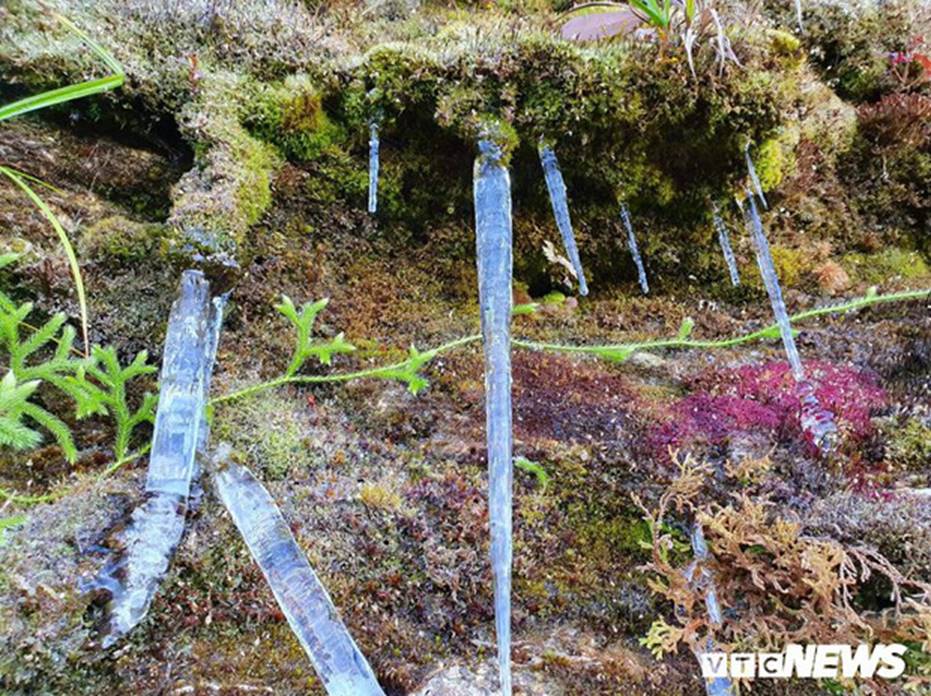 Băng giá phủ trắng đỉnh Chiêu Lầu Thi, du khách nô nức rủ nhau check in-2