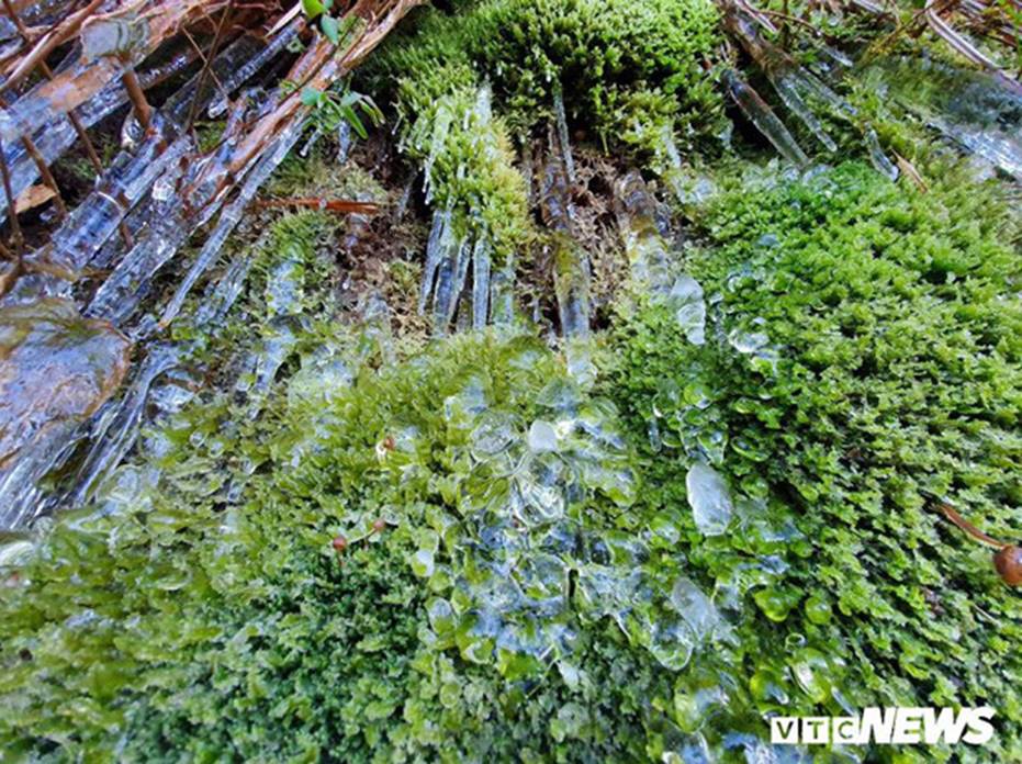 Băng giá phủ trắng đỉnh Chiêu Lầu Thi, du khách nô nức rủ nhau check in-3