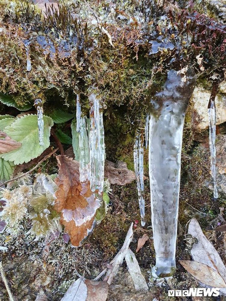 Băng giá phủ trắng đỉnh Chiêu Lầu Thi, du khách nô nức rủ nhau check in-5