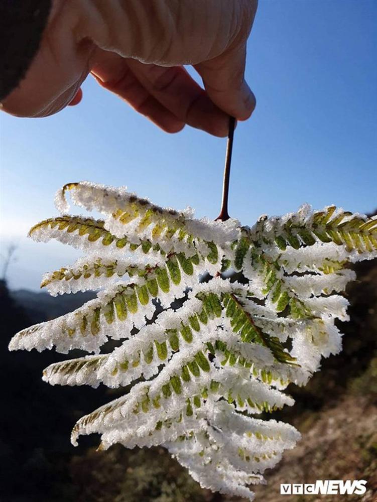 Băng giá phủ trắng đỉnh Chiêu Lầu Thi, du khách nô nức rủ nhau check in-9