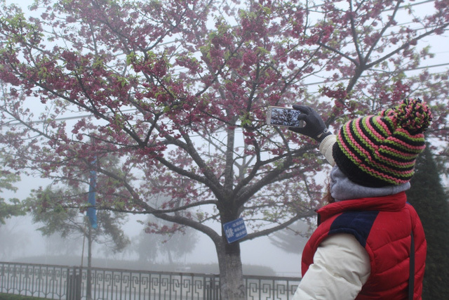 Dự báo thời tiết 9/12, Sa Pa 0 độ, Hà Nội khô hanh lạnh giá-1