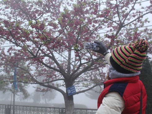 Dự báo thời tiết 9/12, Sa Pa 0 độ, Hà Nội khô hanh lạnh giá