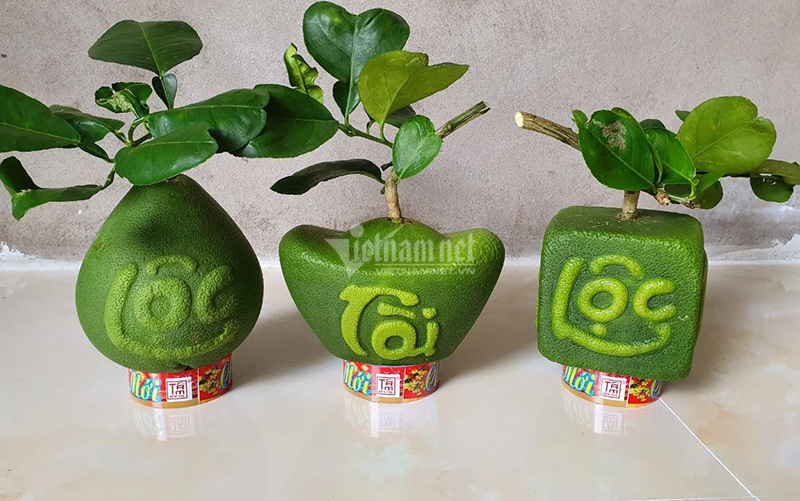 Quả bưởi kỳ lạ hình thoi vàng nổi chữ thư pháp gây sốt khắp miền-2