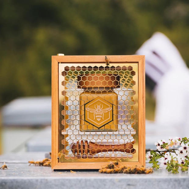 Bí mật đằng sau loại mật ong đắt nhất thế giới-6