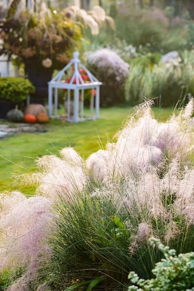 Vợ chồng bỏ việc về quê sống, biến khu đất ruộng thành nơi ở vạn người mê-3