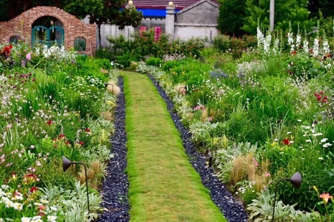 Vợ chồng bỏ việc về quê sống, biến khu đất ruộng thành nơi ở vạn người mê-9