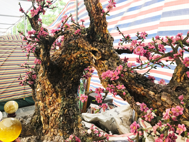 Cây đào nở đầy hoa đá quý nặng 2 tấn, 500 triệu ai dám mua-6