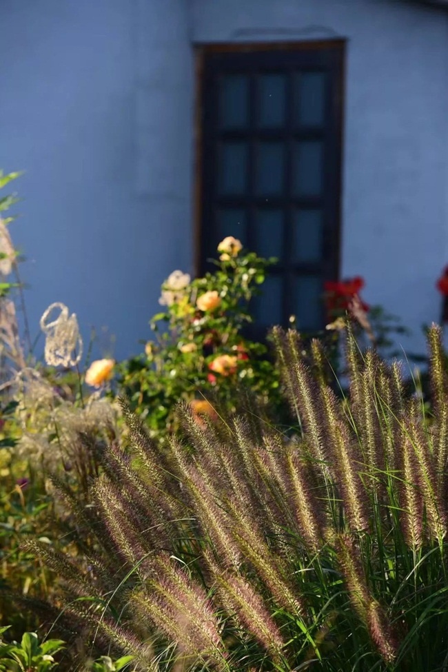 Vợ chồng bỏ việc về quê sống, biến khu đất ruộng thành nơi ở vạn người mê-10