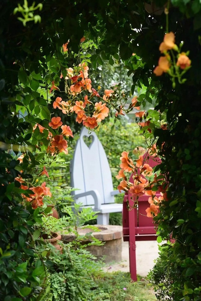 Vợ chồng bỏ việc về quê sống, biến khu đất ruộng thành nơi ở vạn người mê-11