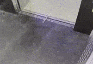 Trò nghịch dại của shipper: Muốn tiết kiệm thời gian đi giao đồ ăn, cuối cùng bị toàn bộ cư dân trong tòa nhà truy lùng-2