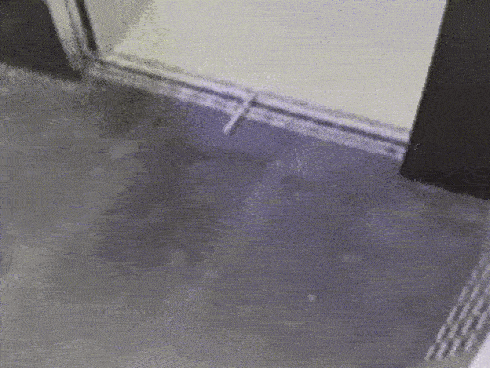 Được cộng đồng mạng tung hô vì một hành động tốt đẹp, shipper trả lời: Đó là trách nhiệm-2