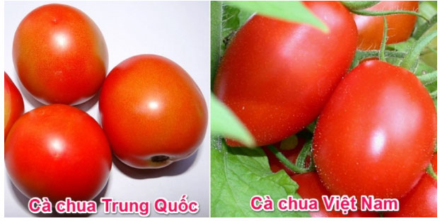 4 dấu hiệu phát hiện cà chua tẩm hóa chất, chị em chớ dại mà mua-1