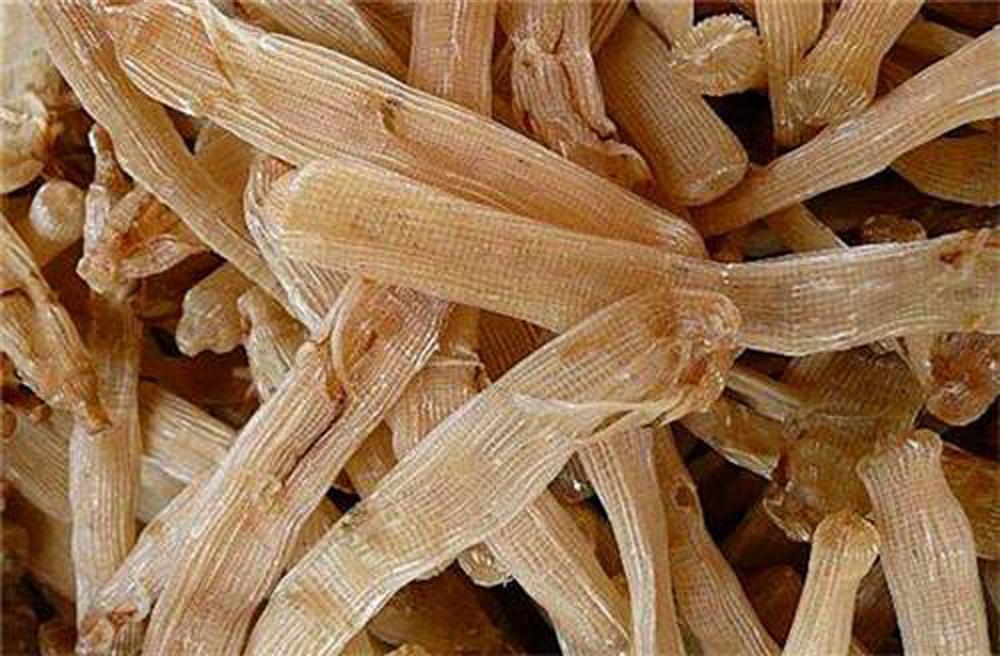 Loài thần dược phòng the Trung Quốc bán 2 triệu, Việt Nam bán gấp 3-2