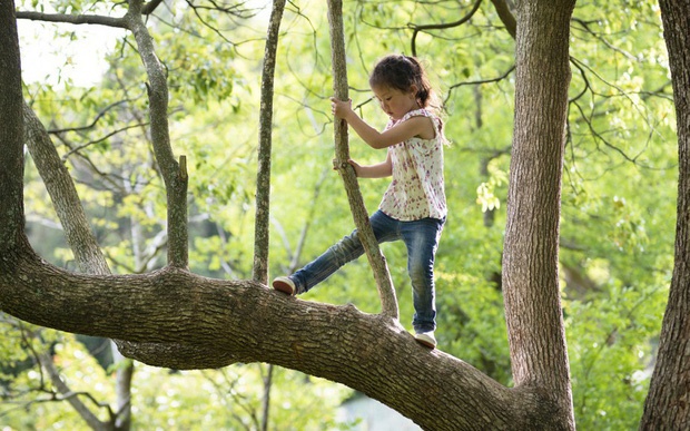 Vừa chào đời đã bị bố lừa điểm chỉ vào bản thỏa thuận tự mua nhà, cậu bé nhận ngay bài học vỡ lòng về sự tự lập-2