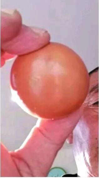 Mổ con vịt đực nuôi 5 năm, ẵm bảo bối trong bụng ngang cả gia tài-2