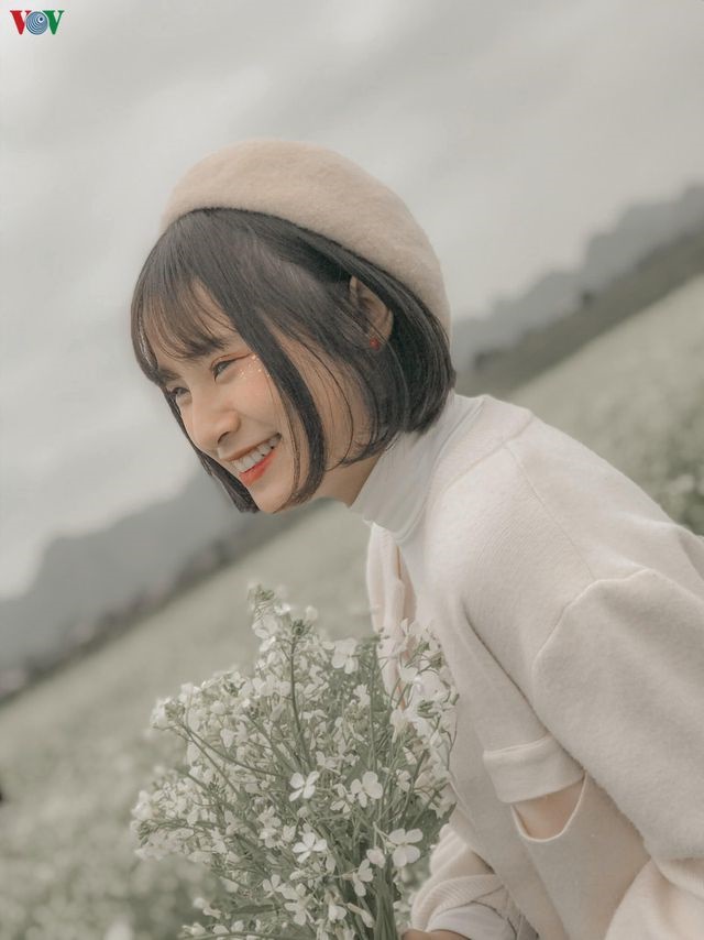 Mộc Châu đẹp ngỡ ngàng những ngày cuối năm-4