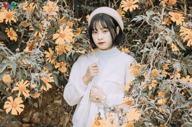 Mộc Châu đẹp ngỡ ngàng những ngày cuối năm-5