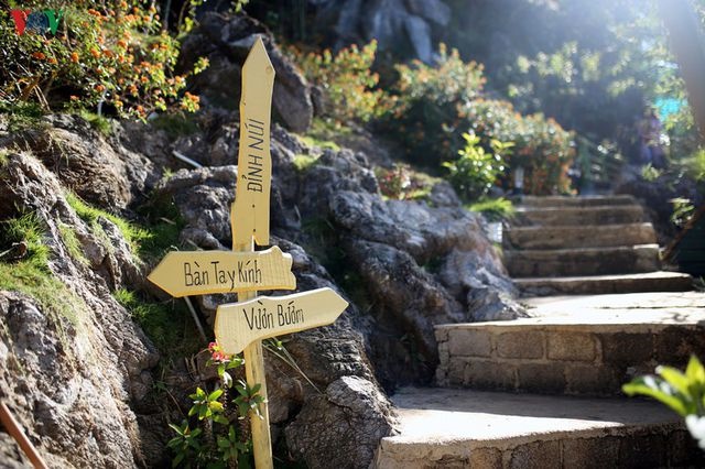 Mộc Châu đẹp ngỡ ngàng những ngày cuối năm-10