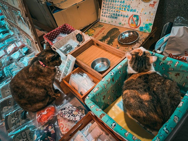 Những thị trấn đông khách du lịch độc đáo nhất thế giới-4