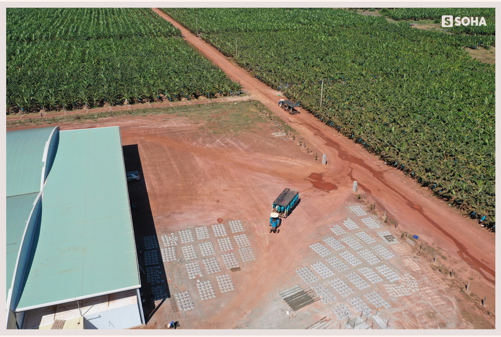 Cuộc sống lạ lùng của bầu Đức ở Campuchia: Ông chủ Hoàng Anh trong căn phòng 15m2-3