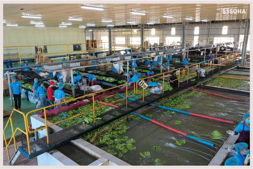 Cuộc sống lạ lùng của bầu Đức ở Campuchia: Ông chủ Hoàng Anh trong căn phòng 15m2-5