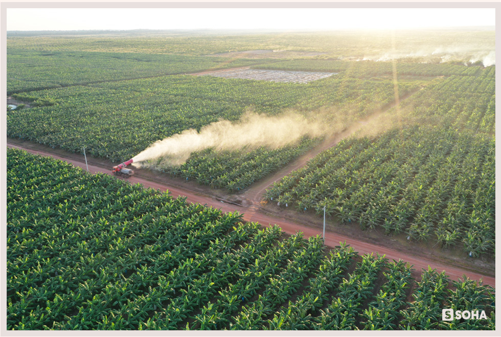 Cuộc sống lạ lùng của bầu Đức ở Campuchia: Ông chủ Hoàng Anh trong căn phòng 15m2-6