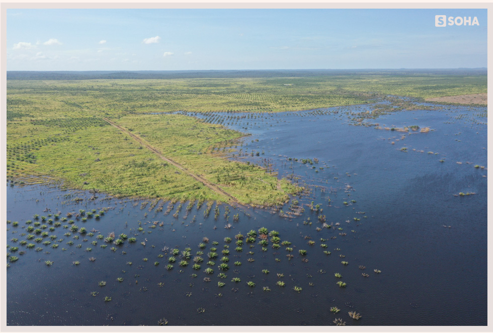 Cuộc sống lạ lùng của bầu Đức ở Campuchia: Ông chủ Hoàng Anh trong căn phòng 15m2-8