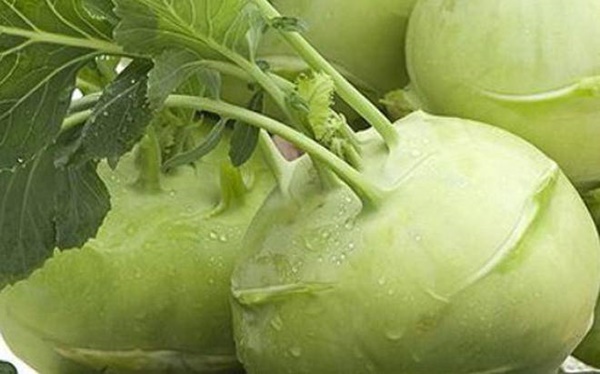 Su hào: Cực tốt và cực độc, biết mà tránh khi ăn kẻo rước họa vào thân-2