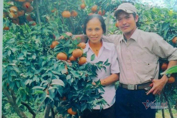 Đồi cam 6 tỷ kỳ lạ nhất Việt Nam, 2.000 cây mắc màn trắng cả rừng-3