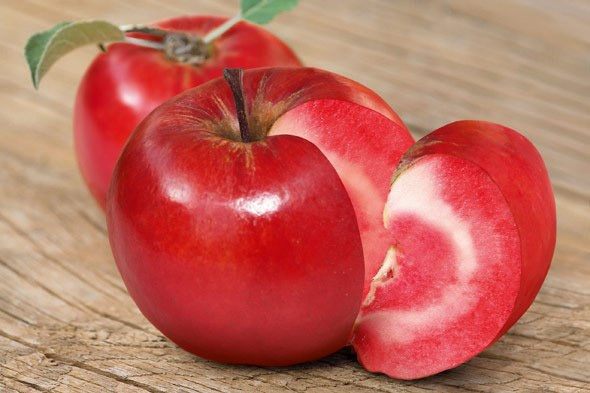 Chị em phấn khích với giống táo vỏ đỏ, ruột cũng đỏ mà lại không phải là quả biến đổi gen-4