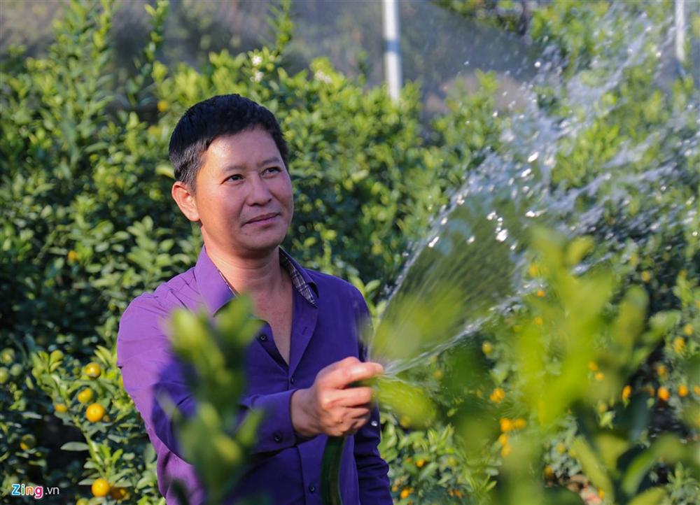 Kiếm hàng trăm triệu nhờ trồng quất cảnh 12 con giáp-2