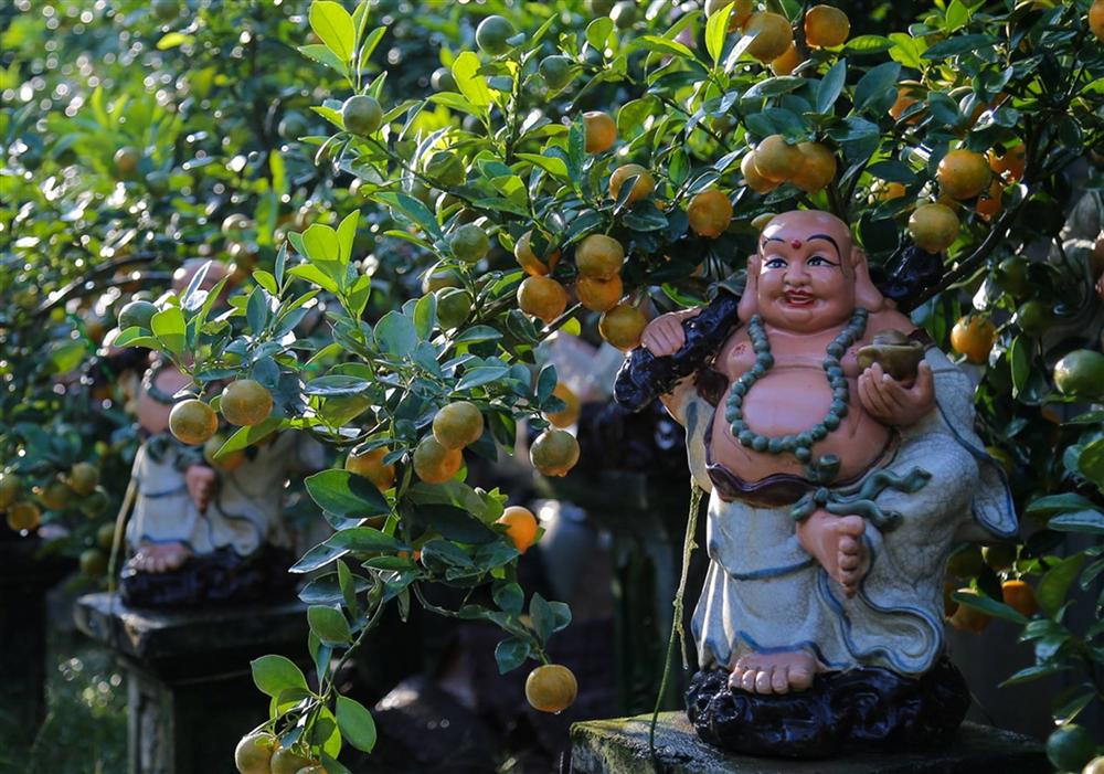 Kiếm hàng trăm triệu nhờ trồng quất cảnh 12 con giáp-7